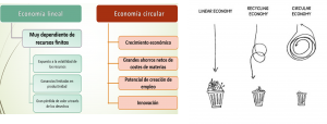 Economía Circular, Economía Lineal, Cero residuos, Oportunidad, financiación
